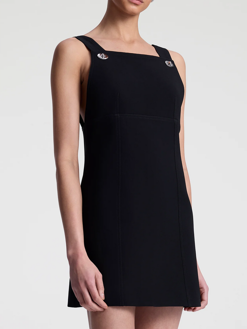 Priscilla Mini Dress