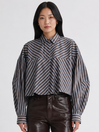 Agnes Shirt in Meyer Stripe Bracken Blue