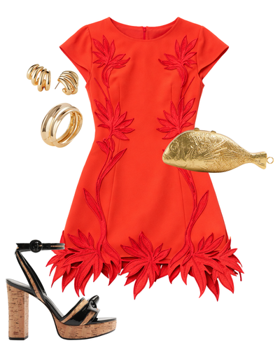 Raquel Embroidered Mini Dress — Shop The Look | AMY Atelier