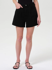 Rhoda Pleated A-Line Short in Holt