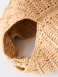 Simone Raffia Bag in Desert Palm