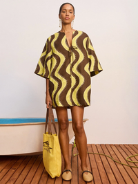 Frankie Mini Dress