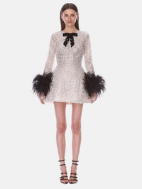 Front view of the Long Sleeve Embellished Mini Dress with feather cuffs in silver by Bronx Banco