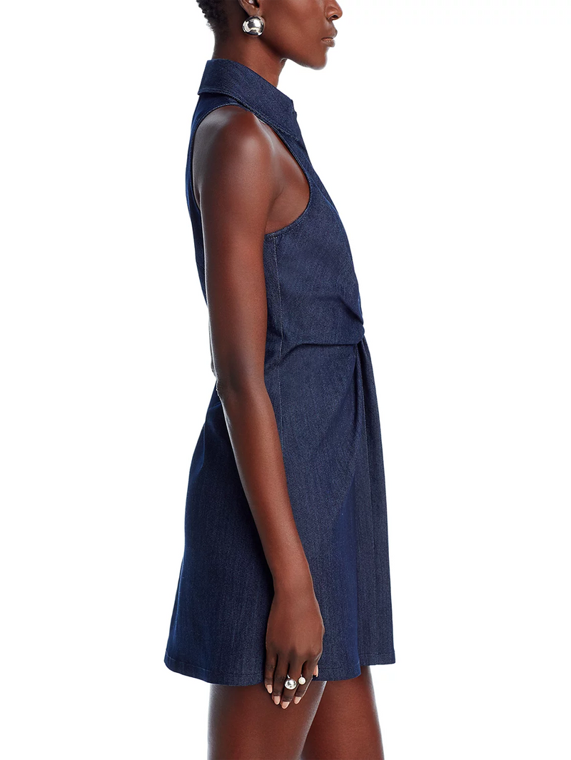 Denim Mckenna Sleeveless Dress