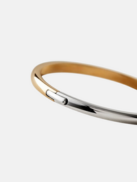 Remi Bangle in Two-tone