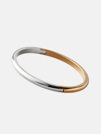 Remi Bangle in Two-tone