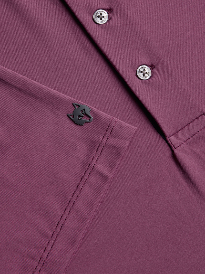 Cayuse Polo in Gulch