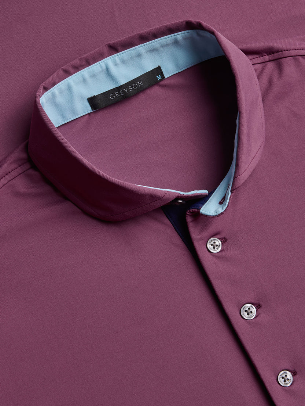 Cayuse Polo in Gulch