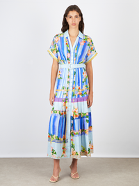 Riya B Dress in Floral River