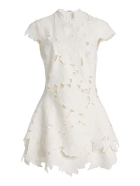 Holloway Embroidered Mini Dress