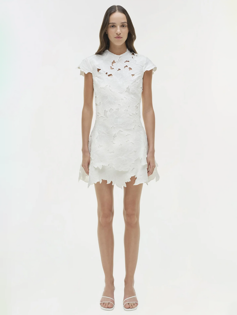 Holloway Embroidered Mini Dress