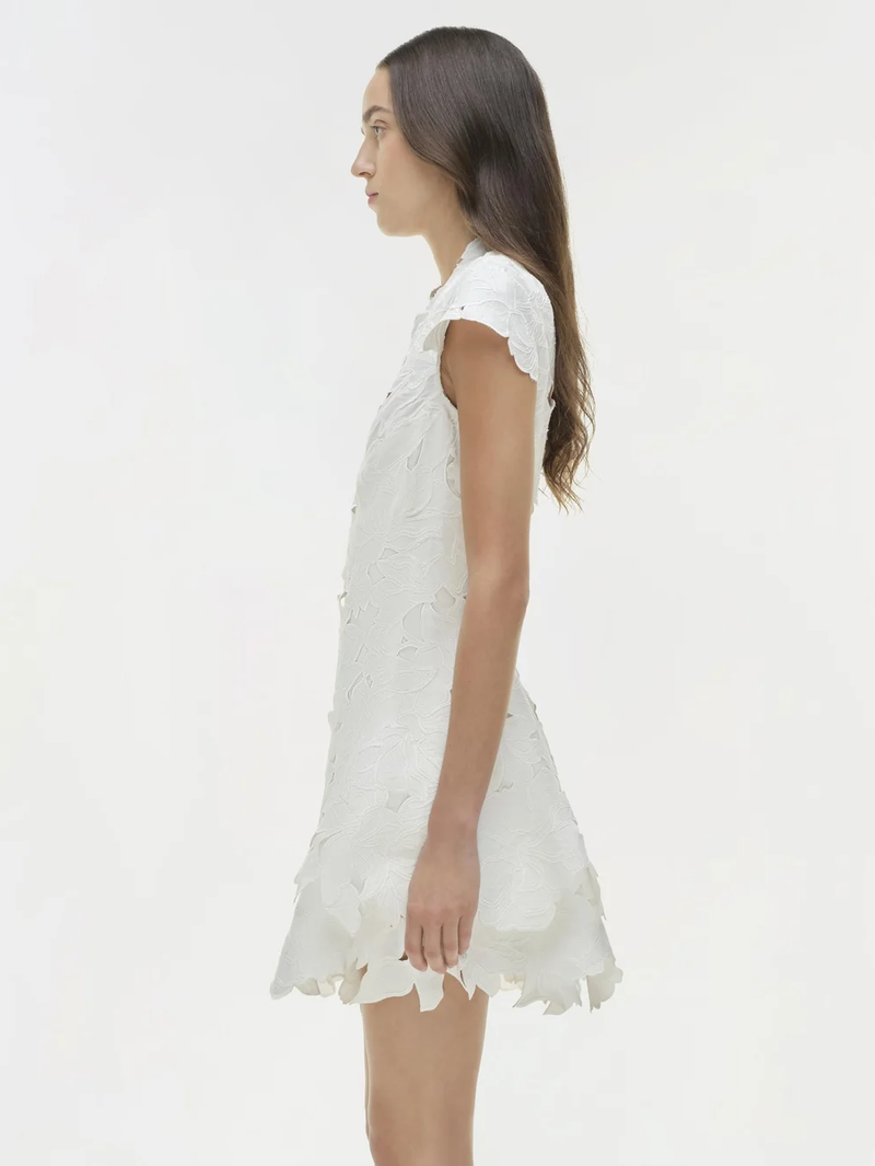 Holloway Embroidered Mini Dress
