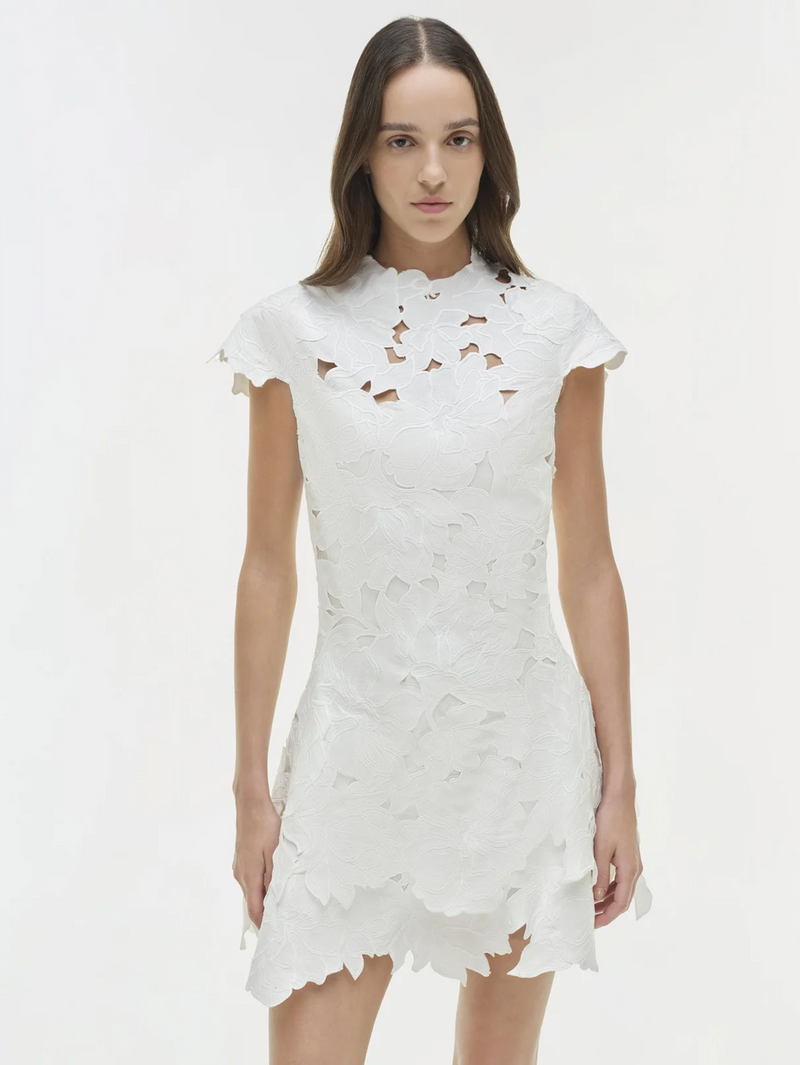 Holloway Embroidered Mini Dress