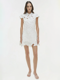 Holloway Embroidered Mini Dress