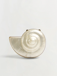 Marion Shell Clutch