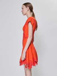 Raquel Embroidered Mini Dress