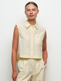 Winslow Sleeveless Cropped Shirt in Buttercream Stripe