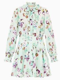Viola Silk Mini Dress
