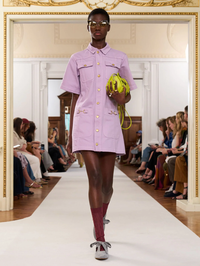 The Painters Denim Mini Dress