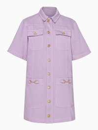 The Painters Denim Mini Dress