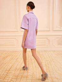 The Painters Denim Mini Dress