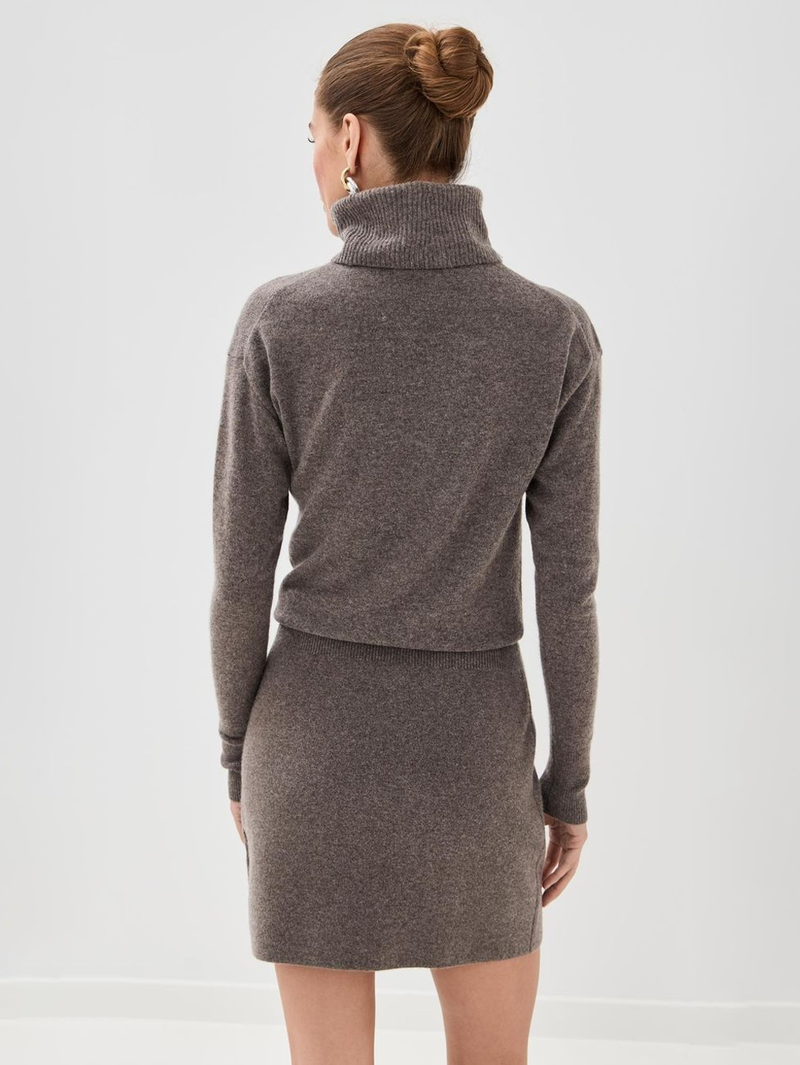 Cassidy Turtleneck Mini Dress