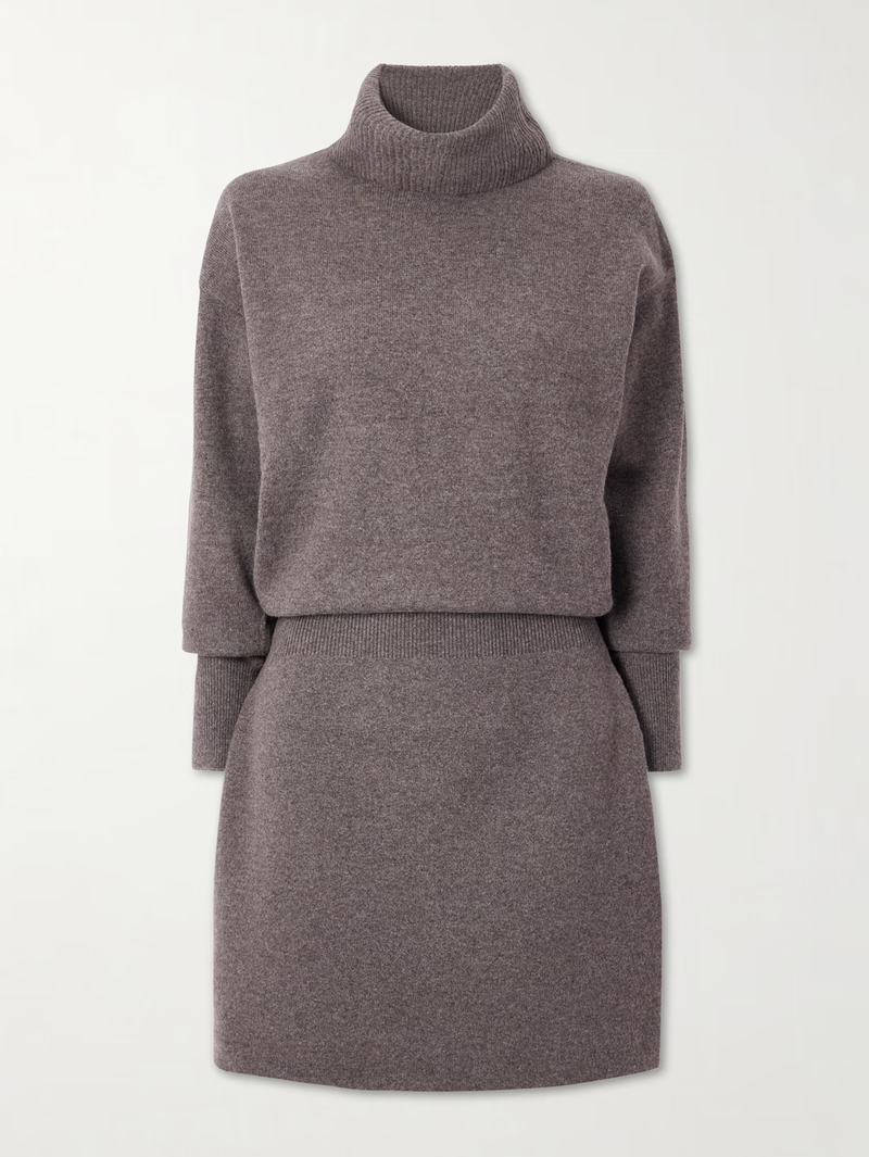 Cassidy Turtleneck Mini Dress