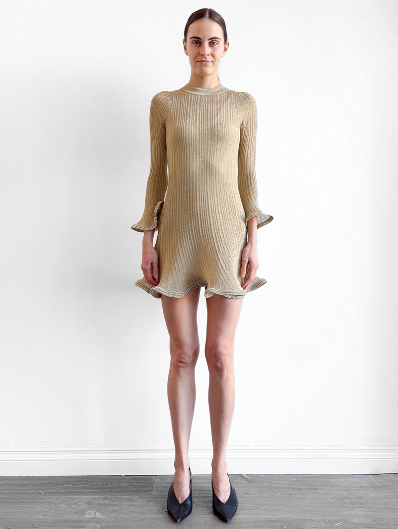 Zelda Long Sleeve Mini Dress